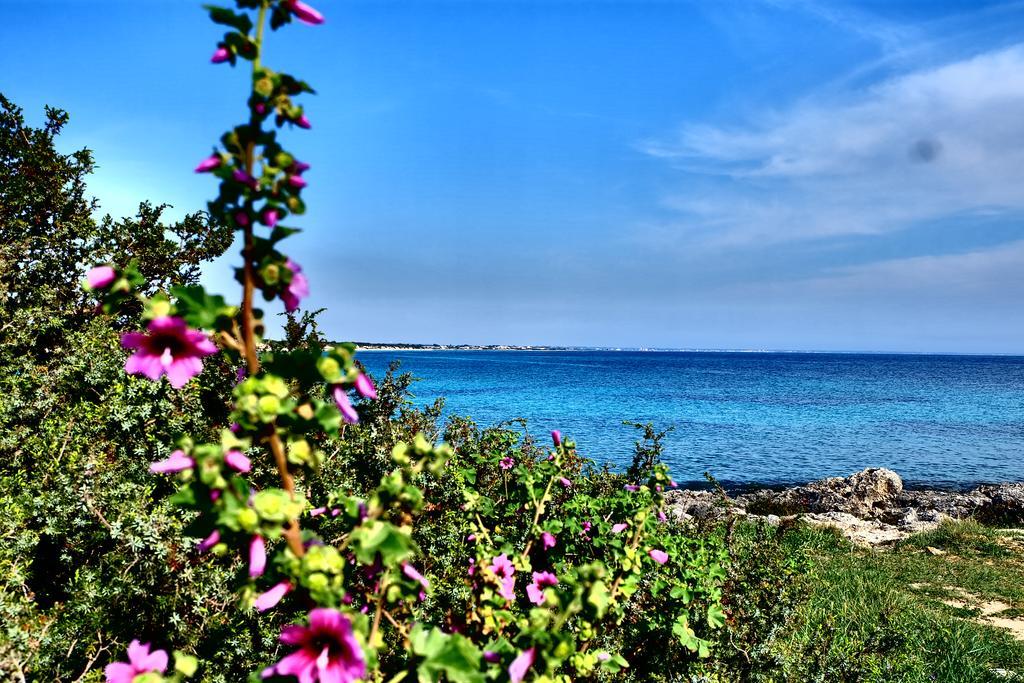 Oasi San Pio Apartment Porto Cesareo Luaran gambar