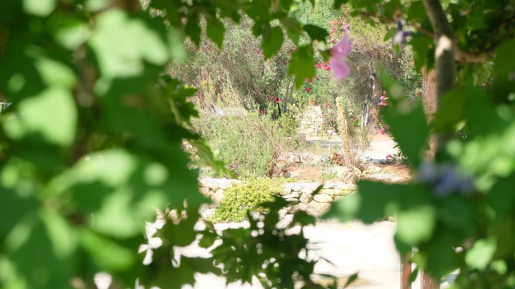 Oasi San Pio Apartment Porto Cesareo Luaran gambar