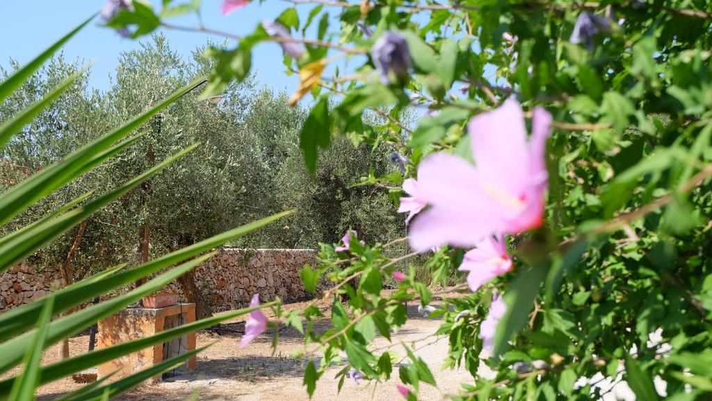 Oasi San Pio Apartment Porto Cesareo Luaran gambar
